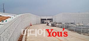 <건널목 입체화 추진>