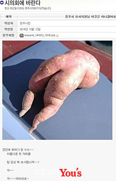 최근 한 경주시민이 주말 밤늦은 11시경에 여성시의원으로부터 받은 카톡 사진(경주시의회홈페이지 캡쳐.)