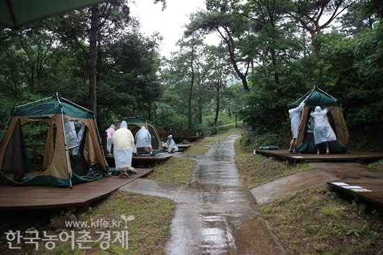 야영할 텐트설치(3일 동안의 숙소)
