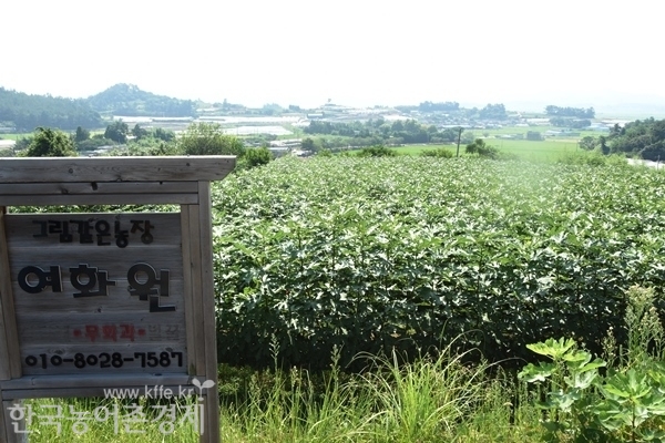 무화과 농장인 '여화원'