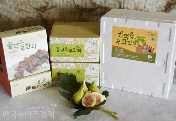무화과의 반건조 무화과(왼쪽) 와 택배 우송용 생과상자