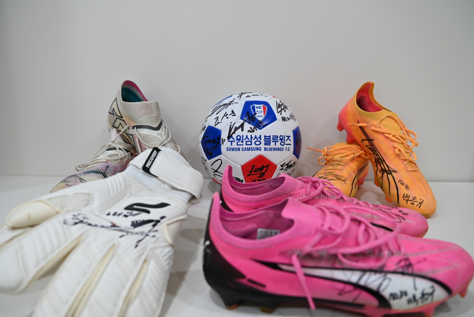 사진 : 강복자 피플 제공