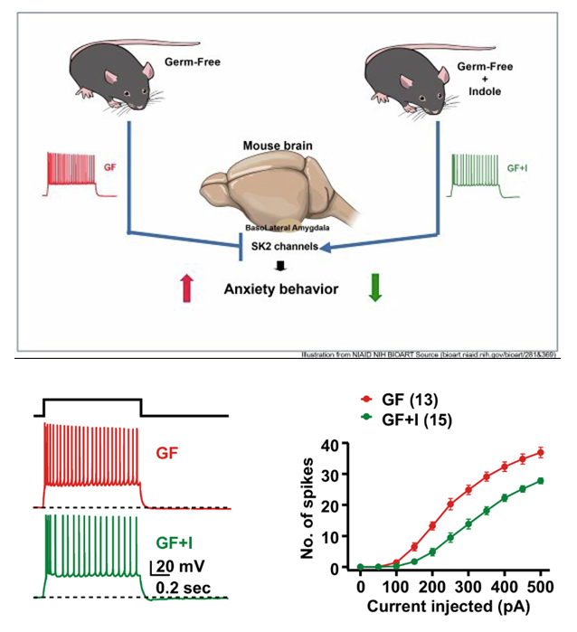 출처: EMBO Molecular Medicine